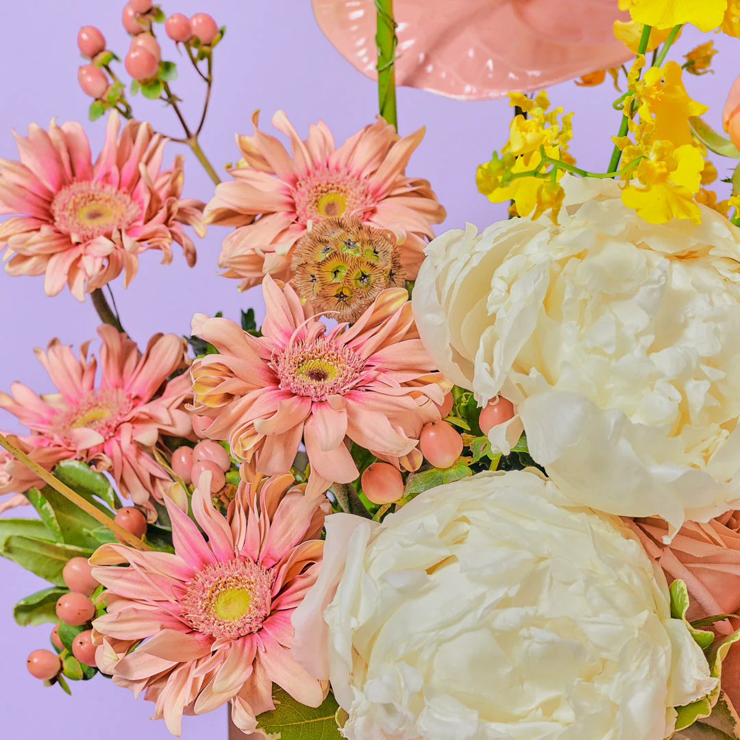 Adelaide White Peony Flower Box - Image 8