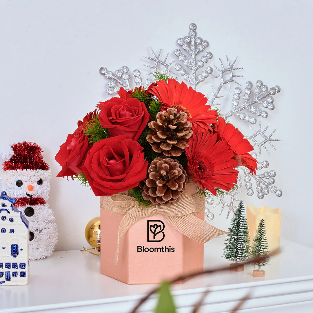 Angelica Red Gerbera Christmas Flower Box - Image 3