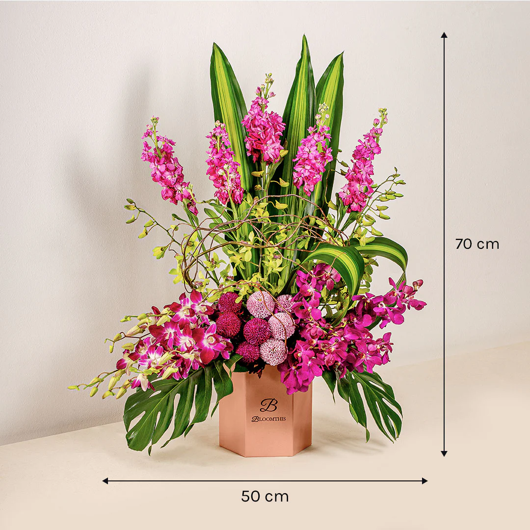 Captivating Matthiola & Orchid Flower Box - Image 5