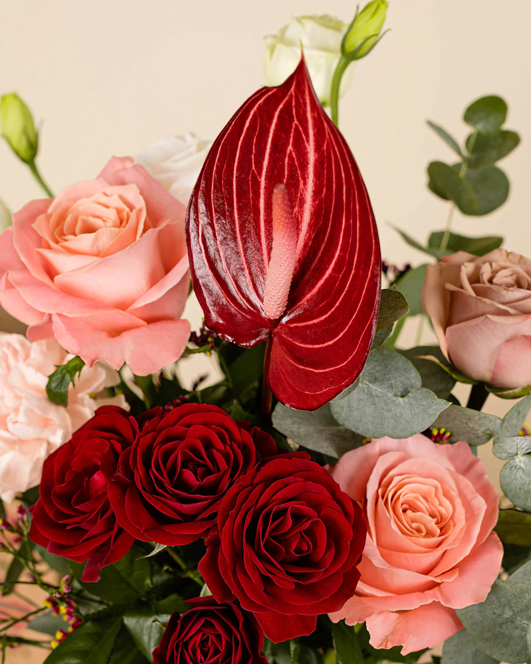 Carissima Anthurium Mini Bloombag & re:bloom Vase - Image 4