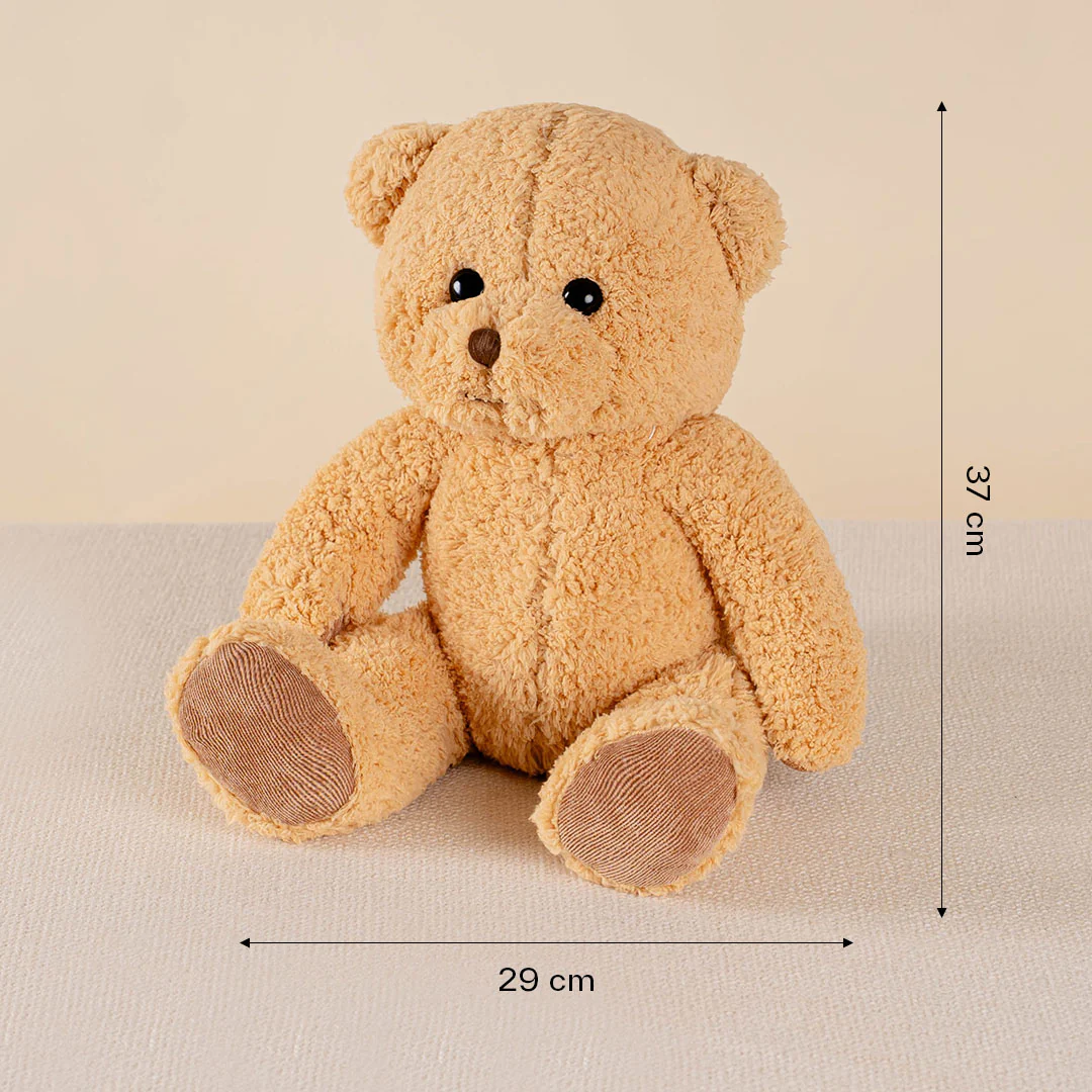 Cassidy Brown Bear Plushie - Image 4