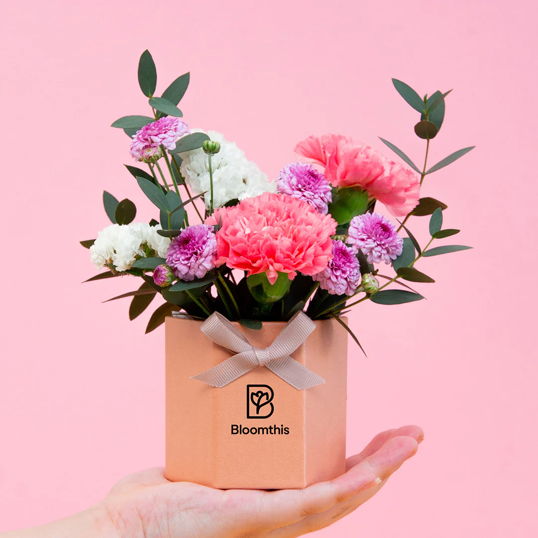 Chaya Carnation Mini Flower Box