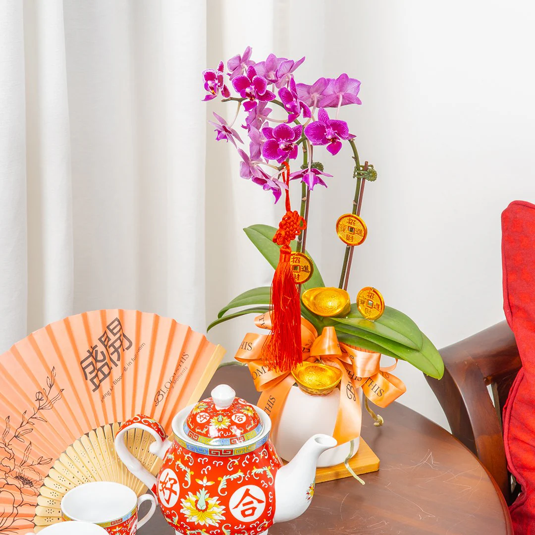 CNY Mini Phalaenopsis Orchid (Purple) - Image 4