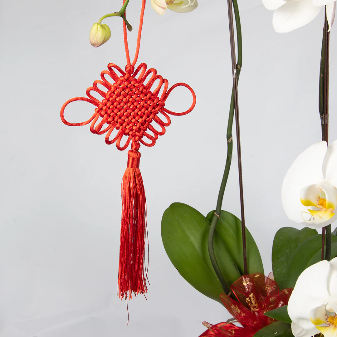 CNY Phalaenopsis Orchid (2 stalks) - Image 10