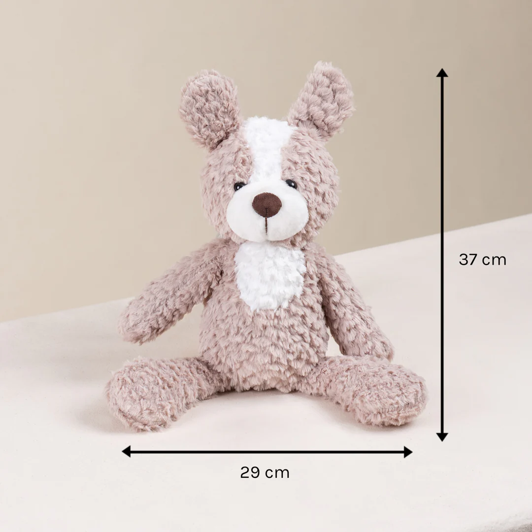 Colleney 2-Tone Beige Teddy Plushie (AO) - Image 5