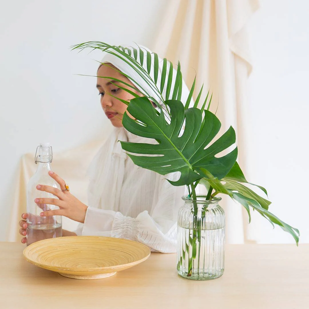 Cut Monstera Deliciosa in Vase (3 Leaves) - Image 5