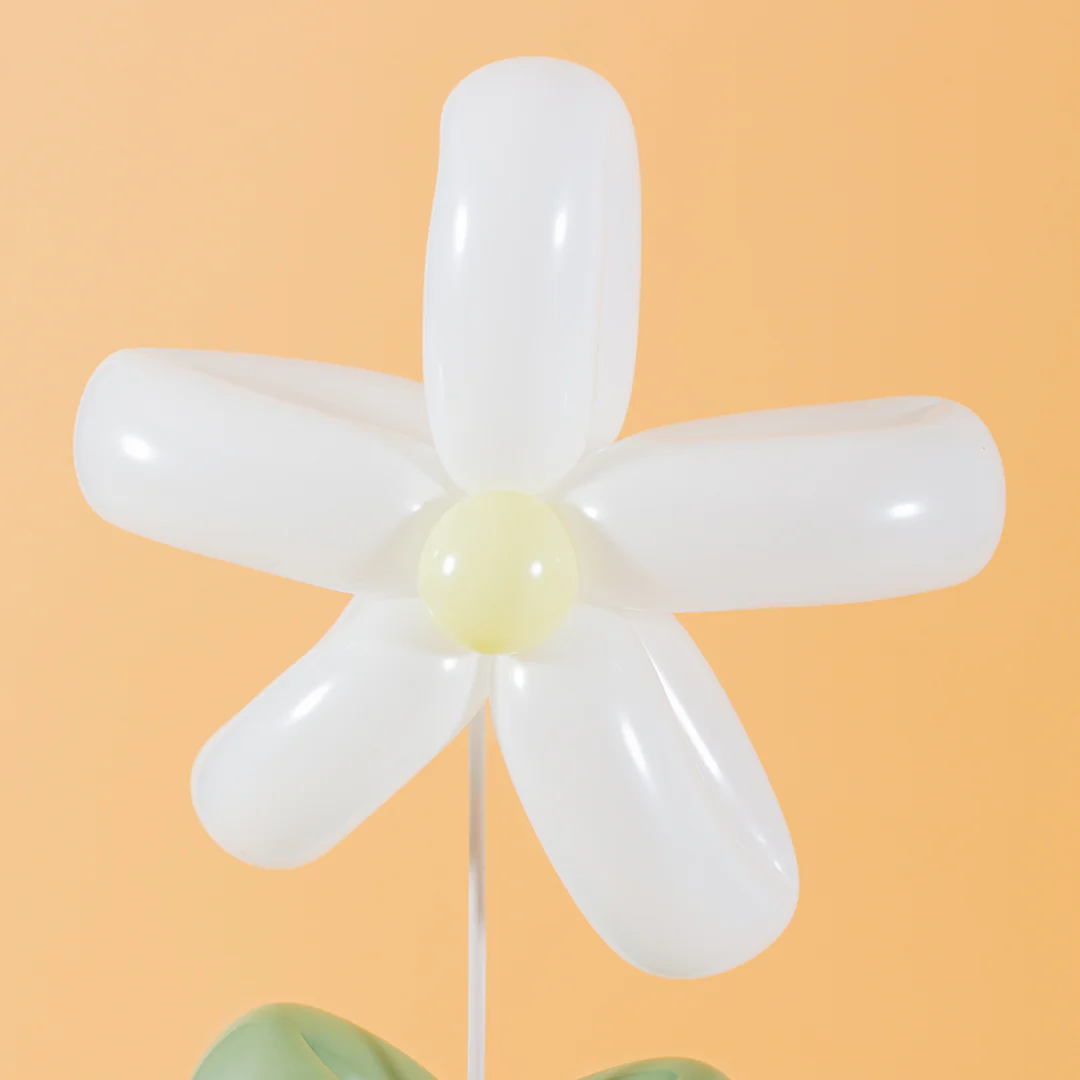 Daisy Balloon Box Bundle (Set of 3) - Image 11