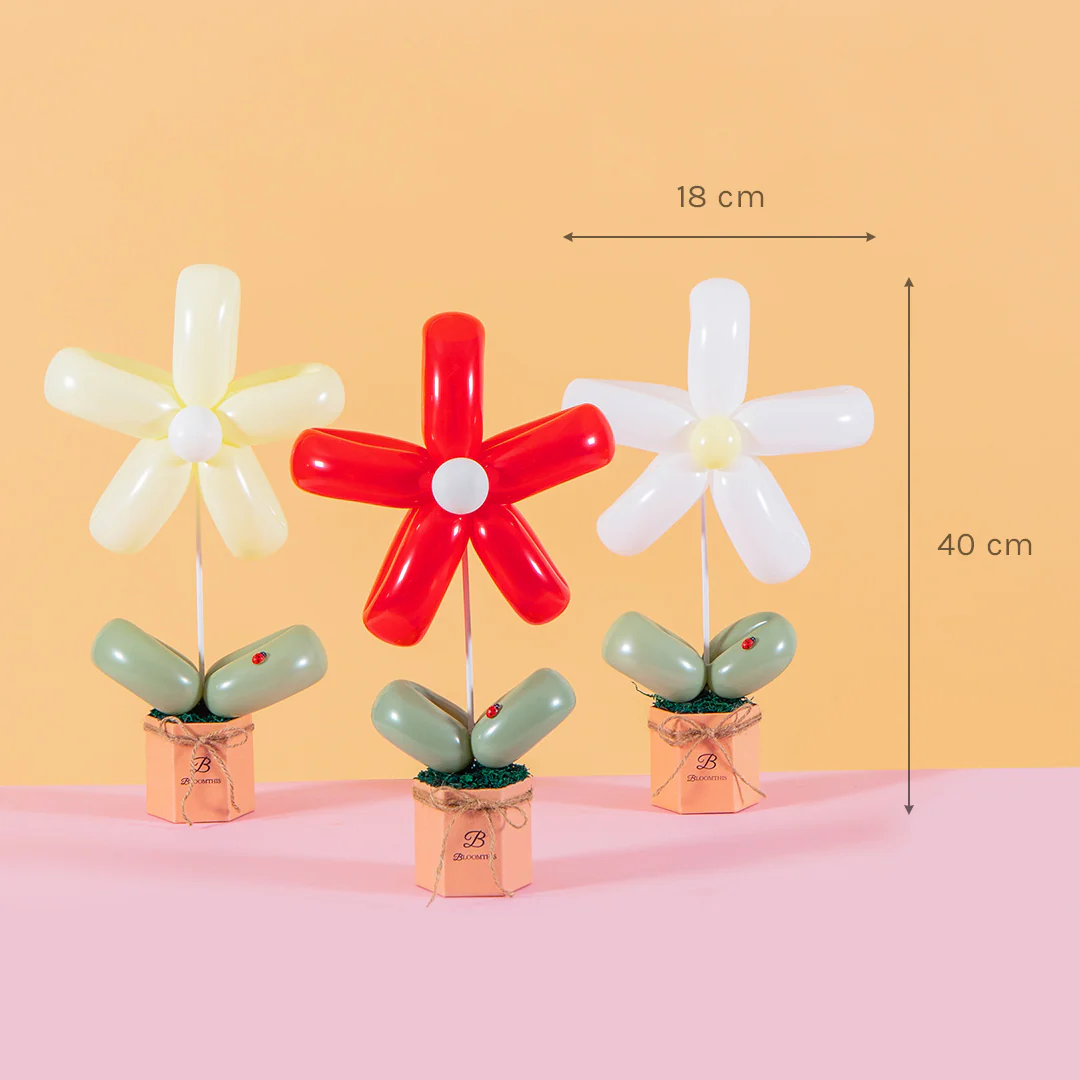 Daisy Balloon Box Bundle (Set of 3) - Image 13