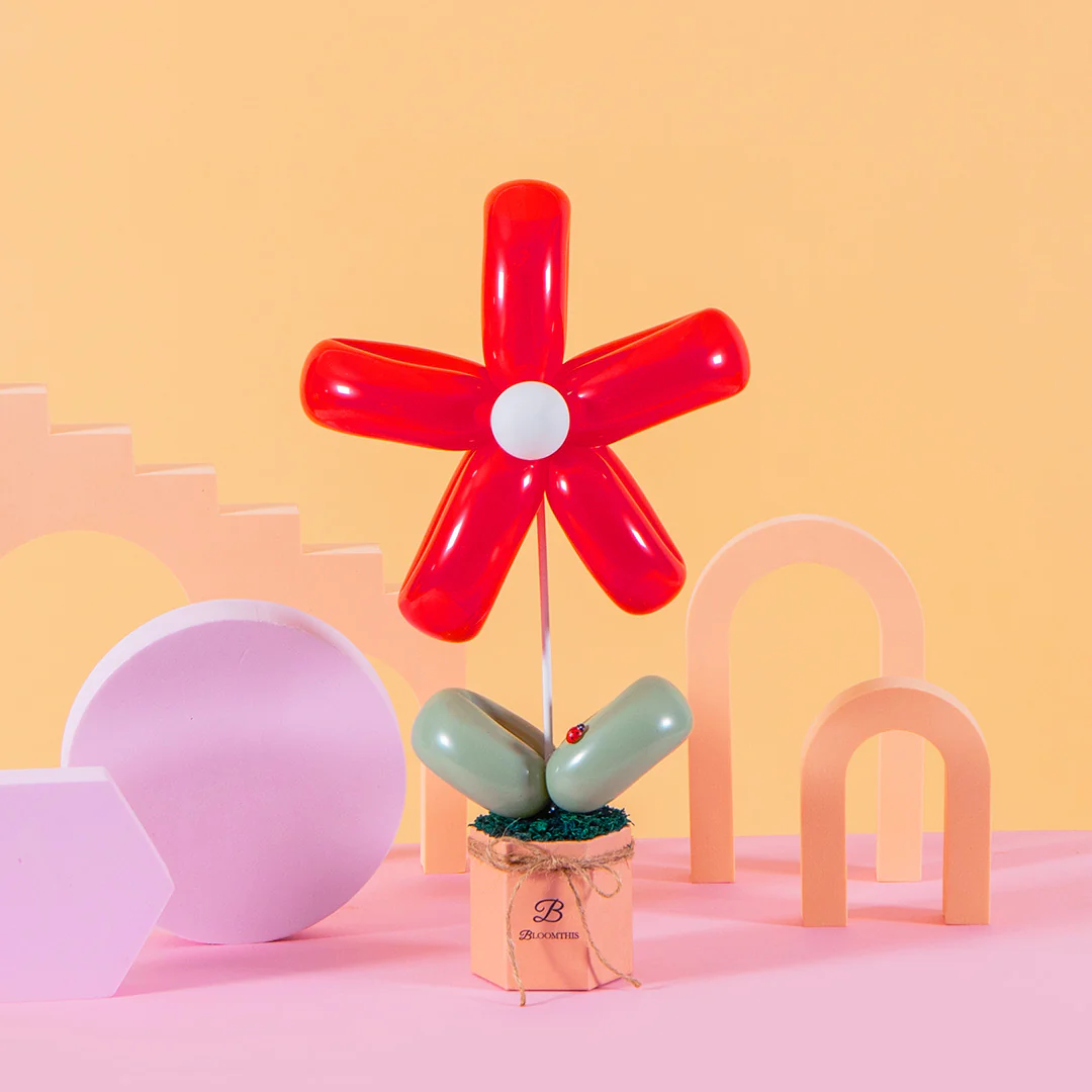 Daisy Balloon Box Bundle (Set of 3) - Image 3