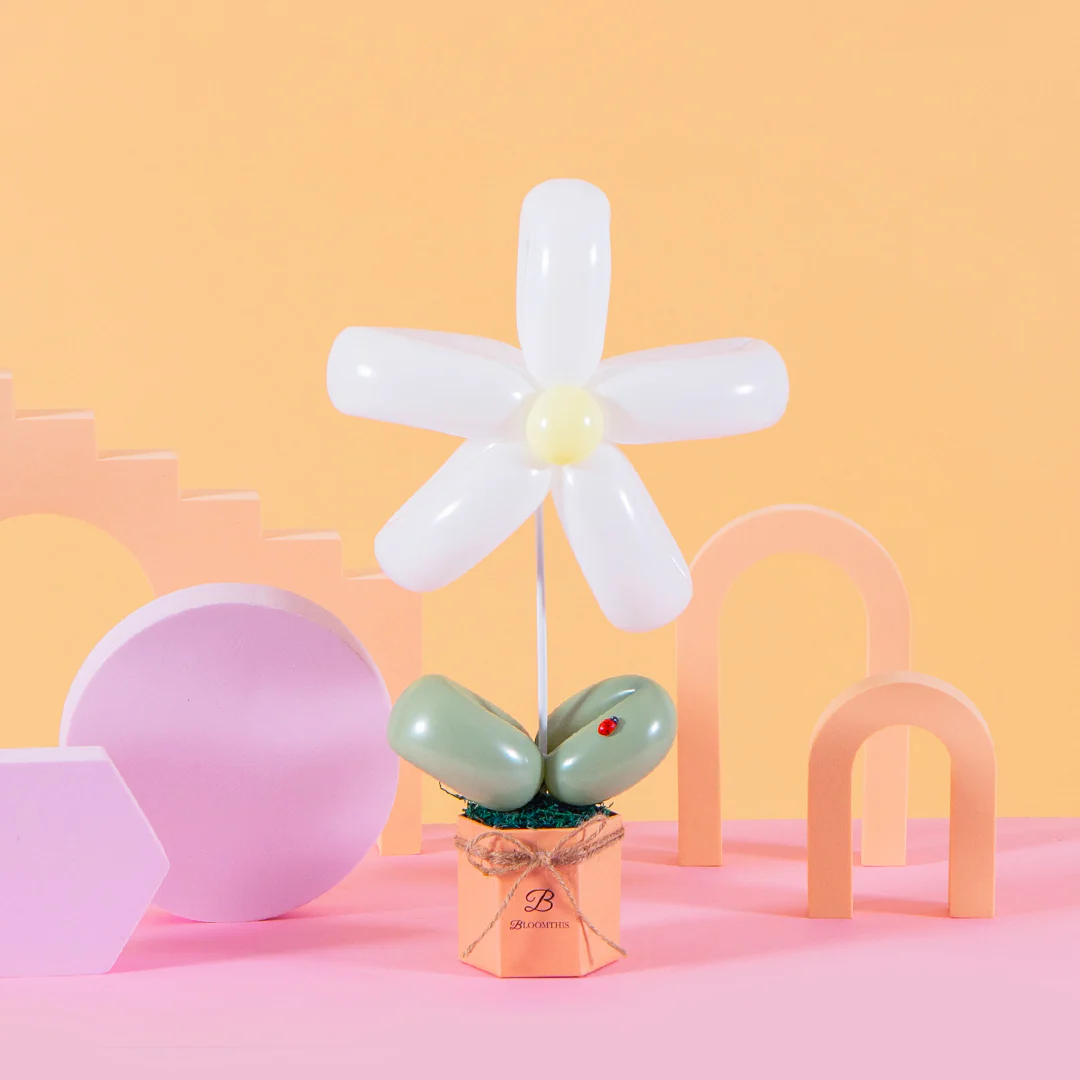 Daisy Balloon Box Bundle (Set of 3) - Image 5