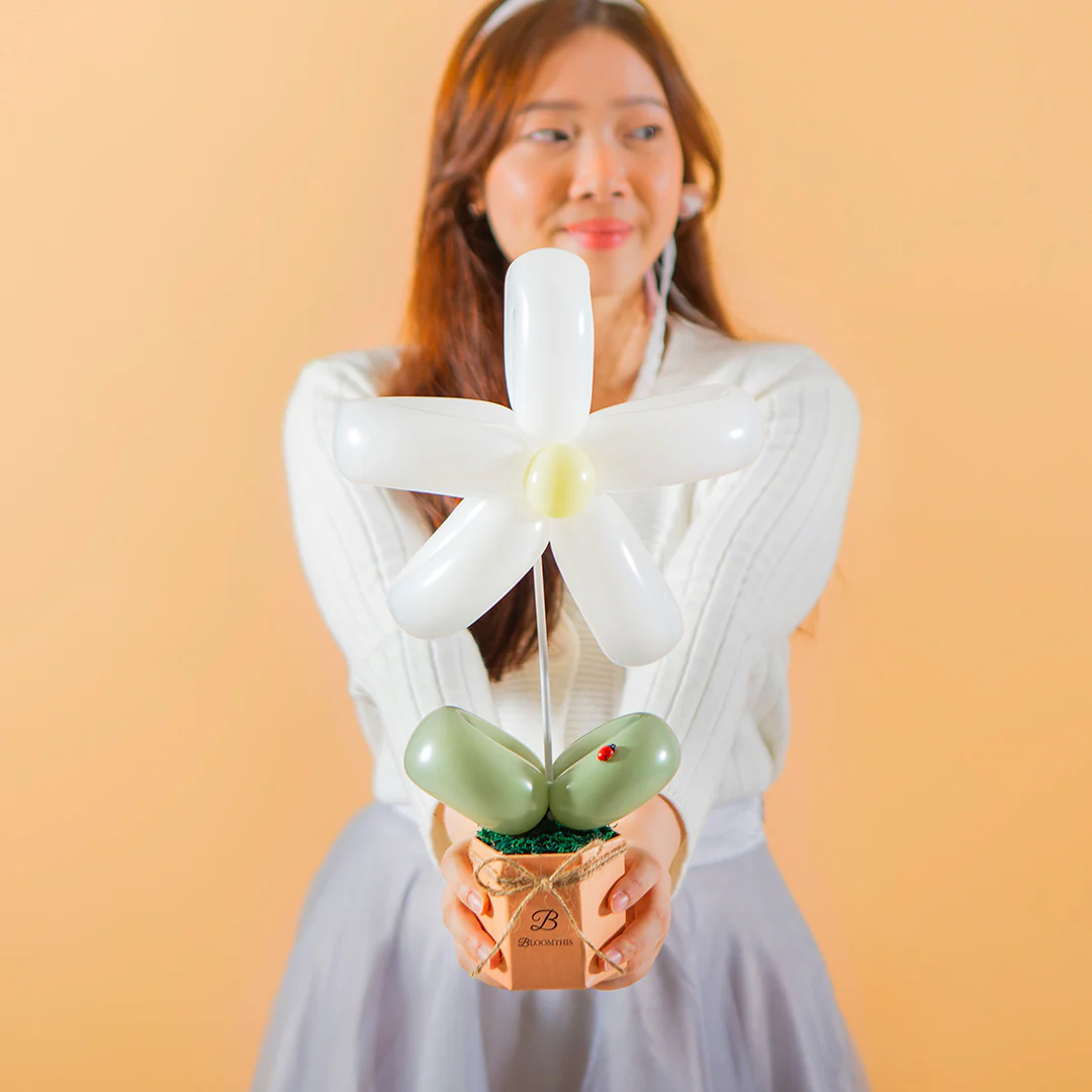 Daisy Balloon Box Bundle (Set of 3) - Image 8