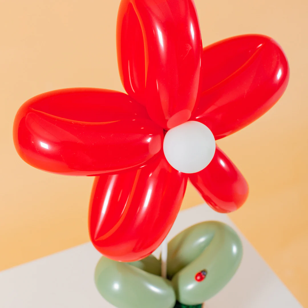 Daisy Balloon Box Bundle (Set of 3) - Image 9