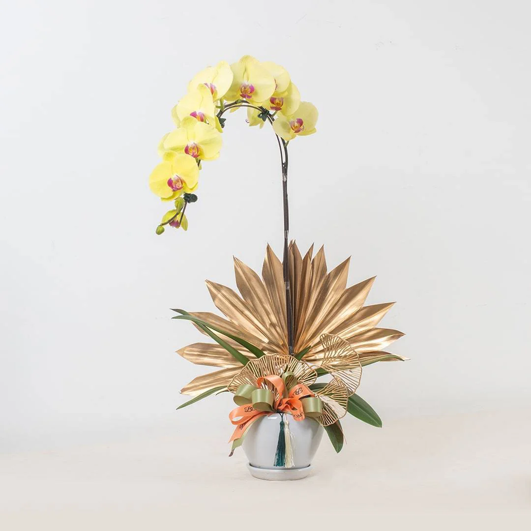 Deepavali Phalaenopsis Orchid (1 stalk)