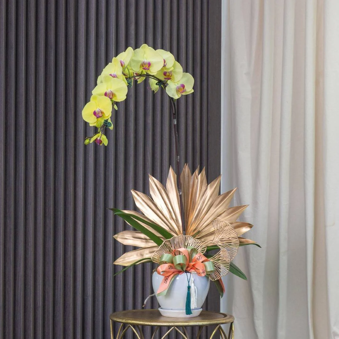 Deepavali Phalaenopsis Orchid (1 stalk) - Image 6