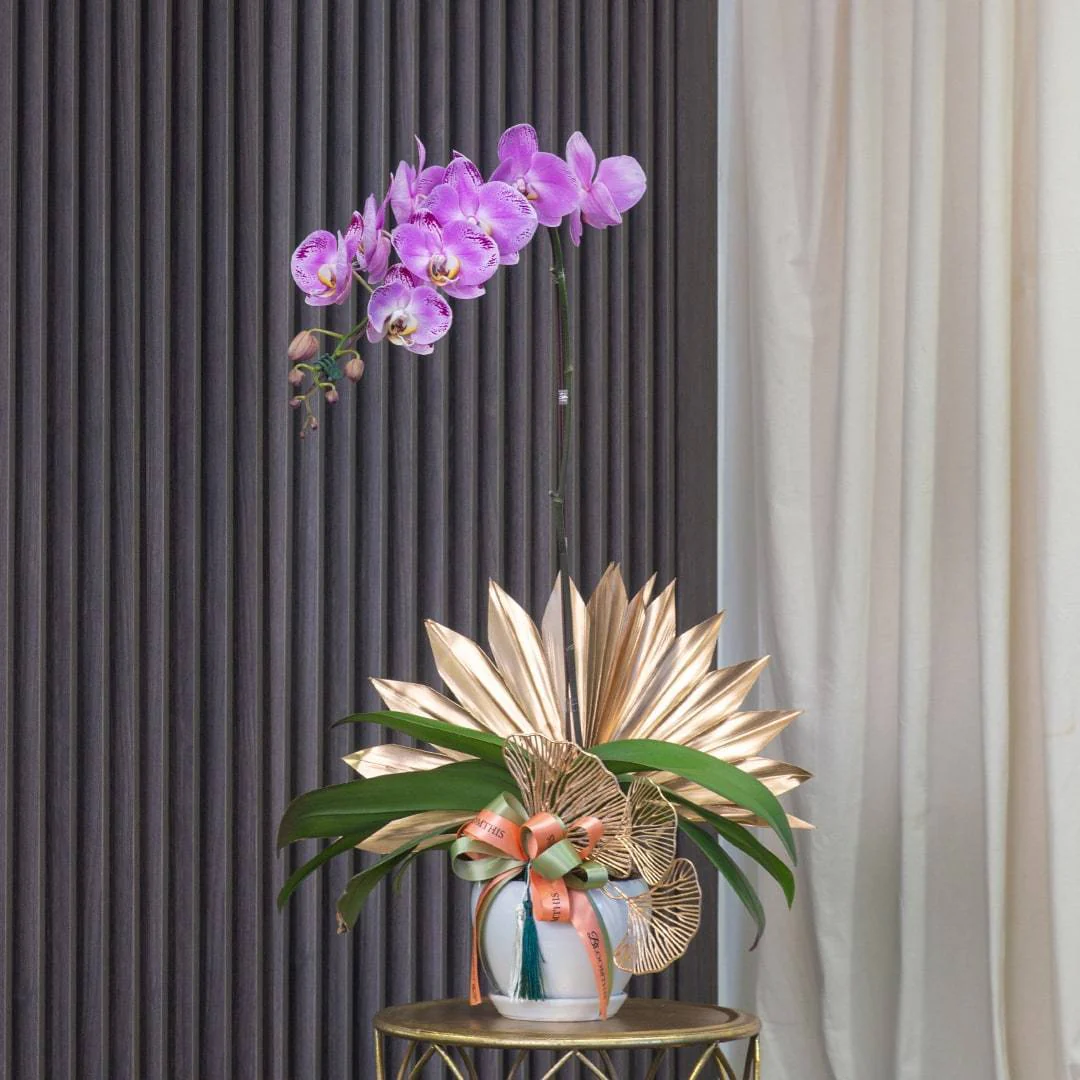 Deepavali Phalaenopsis Orchid (1 stalk) - Image 8