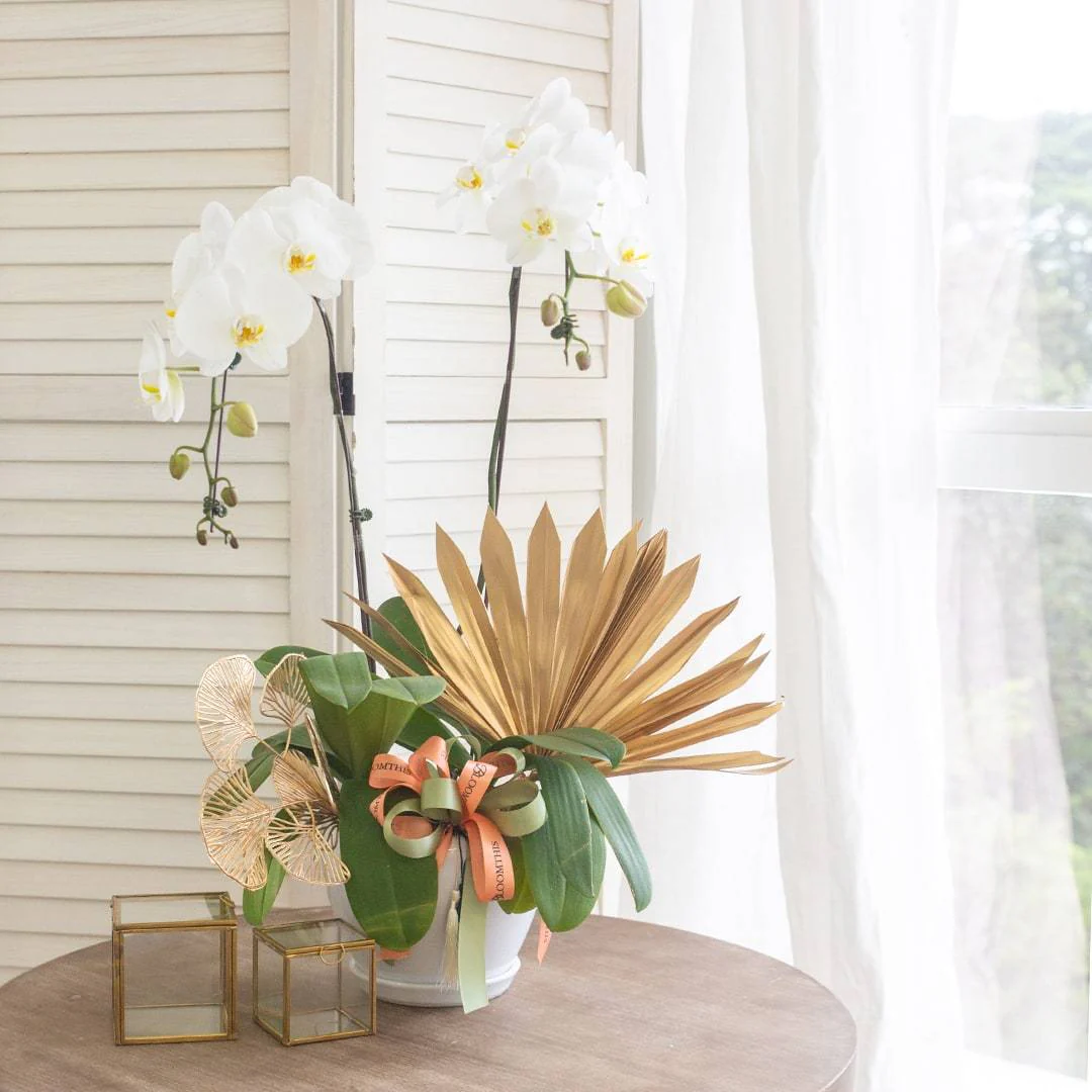 Deepavali Phalaenopsis Orchid (2 stalks) - Image 2