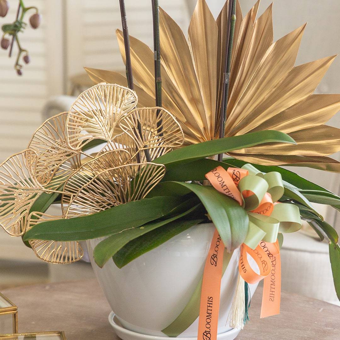 Deepavali Phalaenopsis Orchid (3 stalks) - Image 4