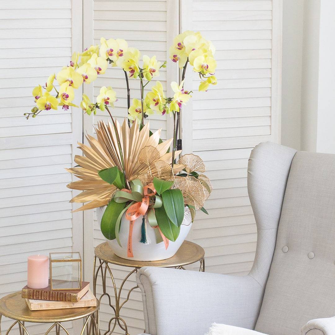 Deepavali Phalaenopsis Orchid (5 stalks) - Image 2