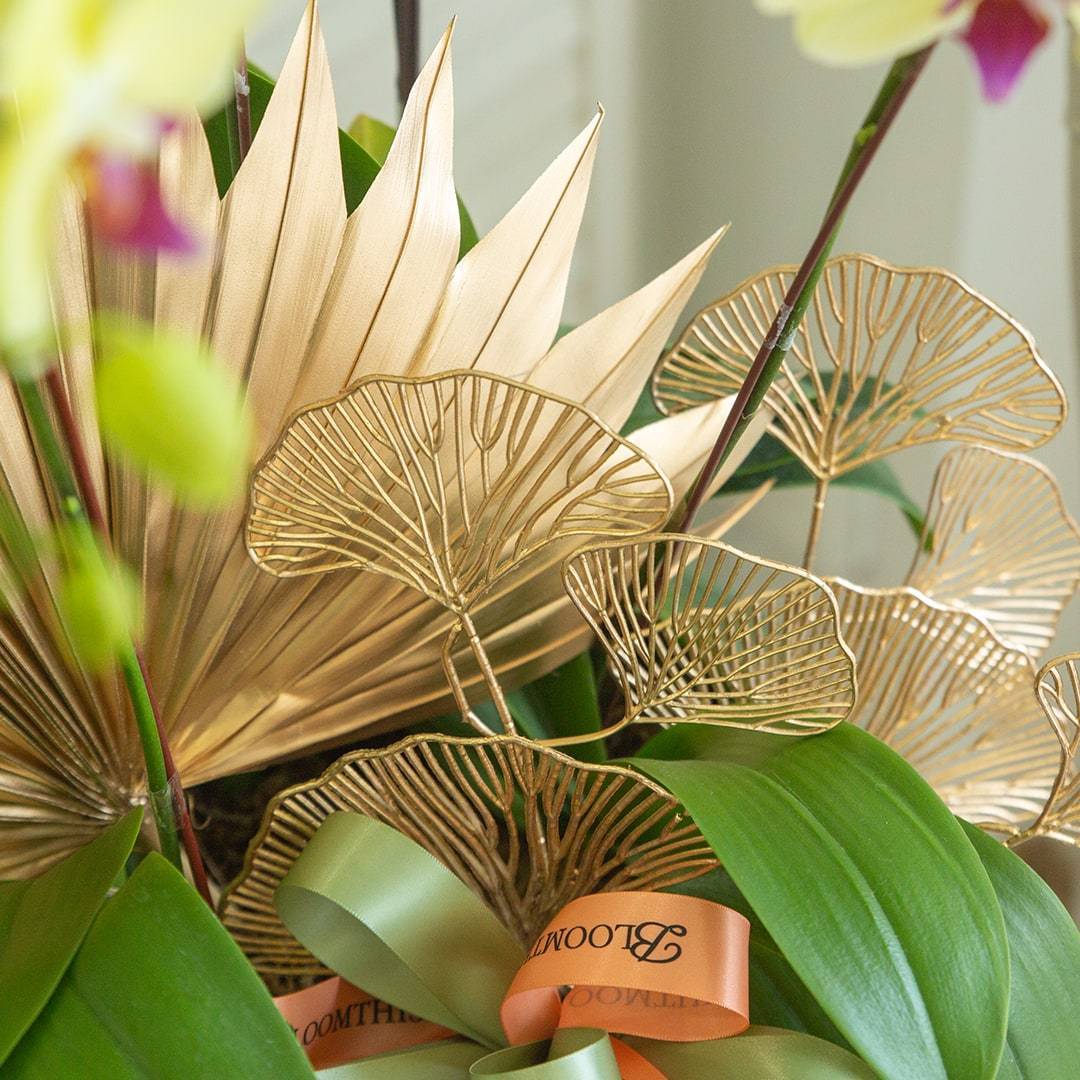 Deepavali Phalaenopsis Orchid (5 stalks) - Image 4