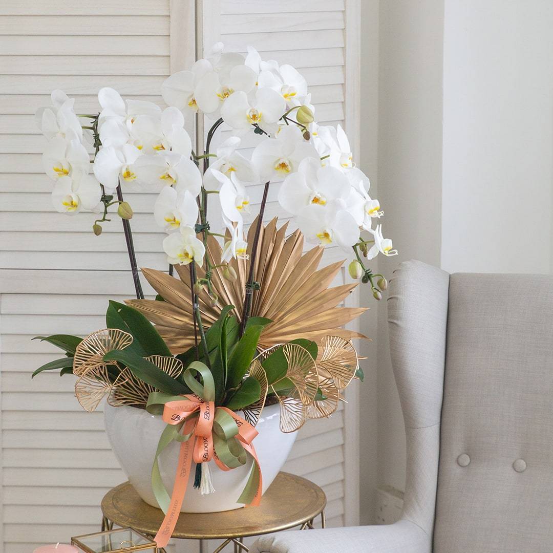 Deepavali Phalaenopsis Orchid (5 stalks) - Image 8