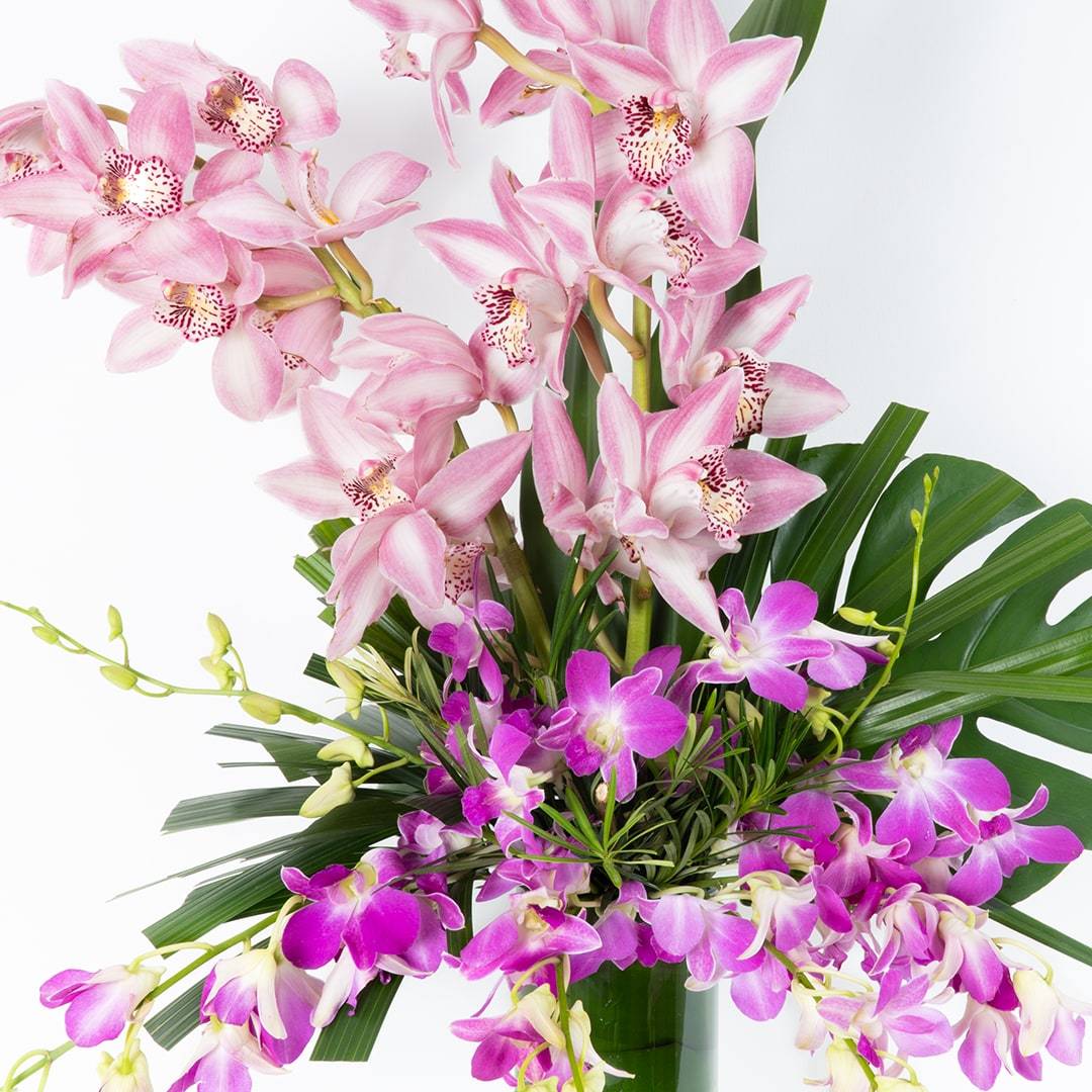 Elise Pink Cymbidium Orchid Vase - Image 3