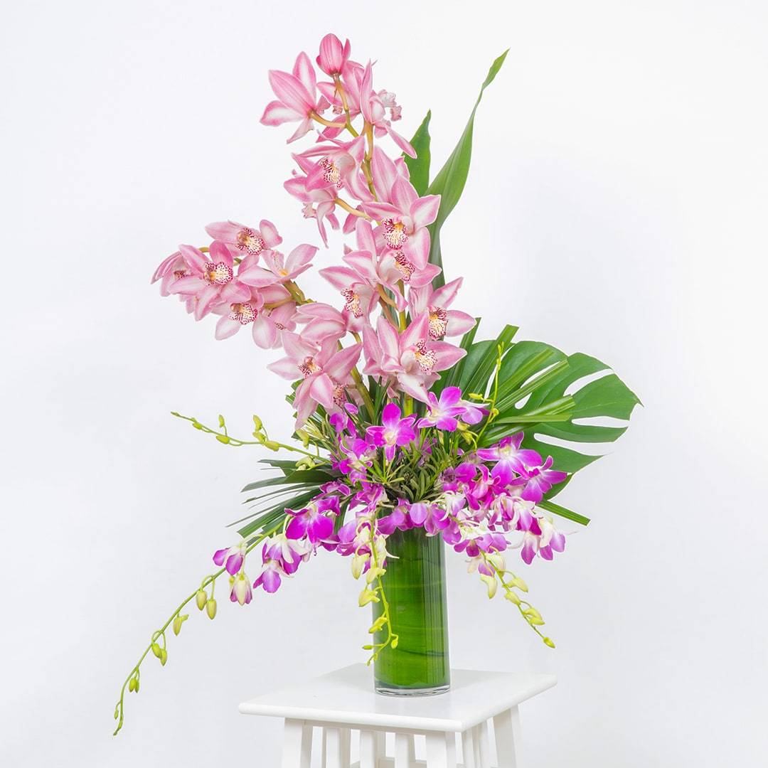 Elise Pink Cymbidium Orchid Vase - Image 4