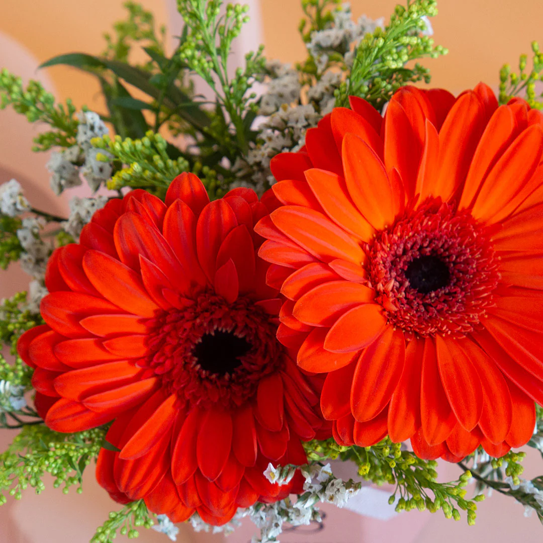 Fabuelo Gerbera Mini Flower Box - Image 4