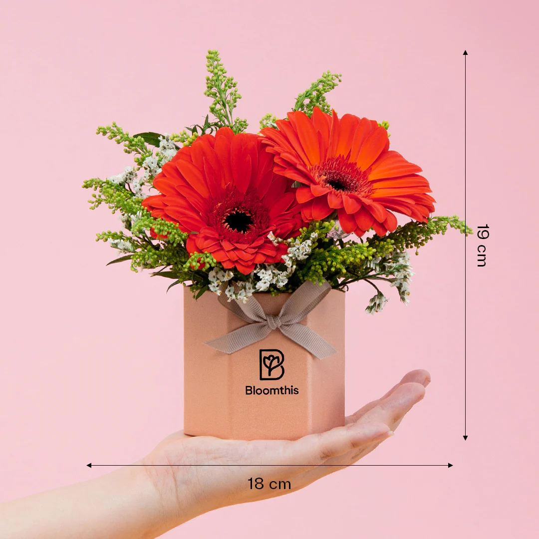 Fabuelo Gerbera Mini Flower Box - Image 5