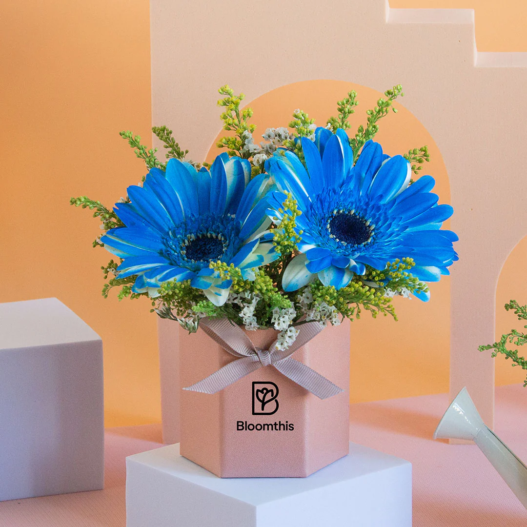 Francisco Gerbera Mini Flower Box - Image 3
