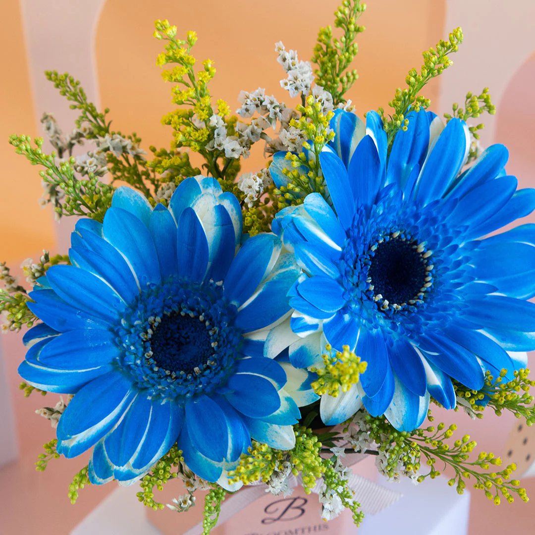 Francisco Gerbera Mini Flower Box - Image 4