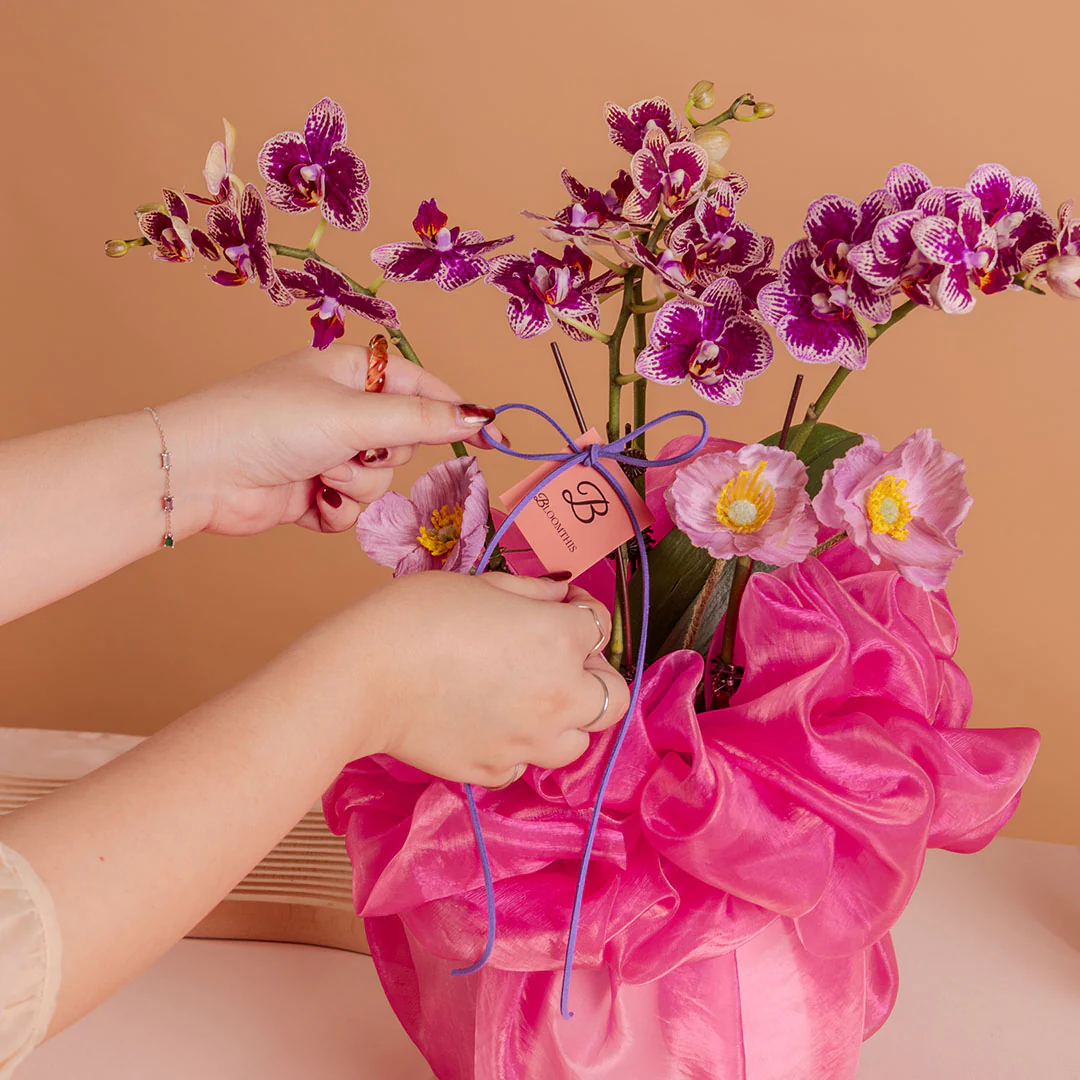 Indira Burgundy Red Mini Phalaenopsis Orchid (2 Stalks) - Image 4