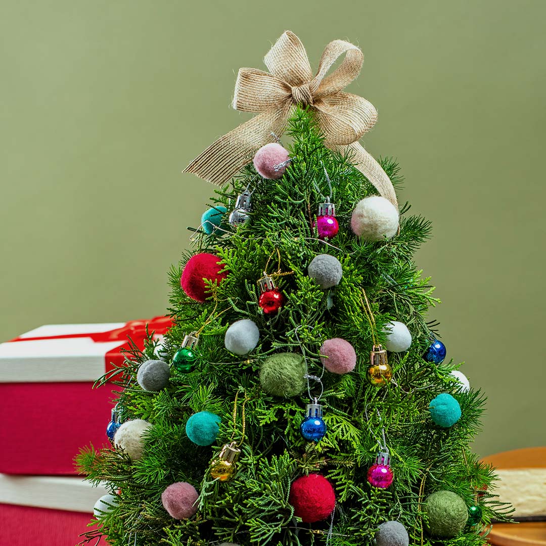 Jazzie Party Christmas Tree Flower Box - Image 3