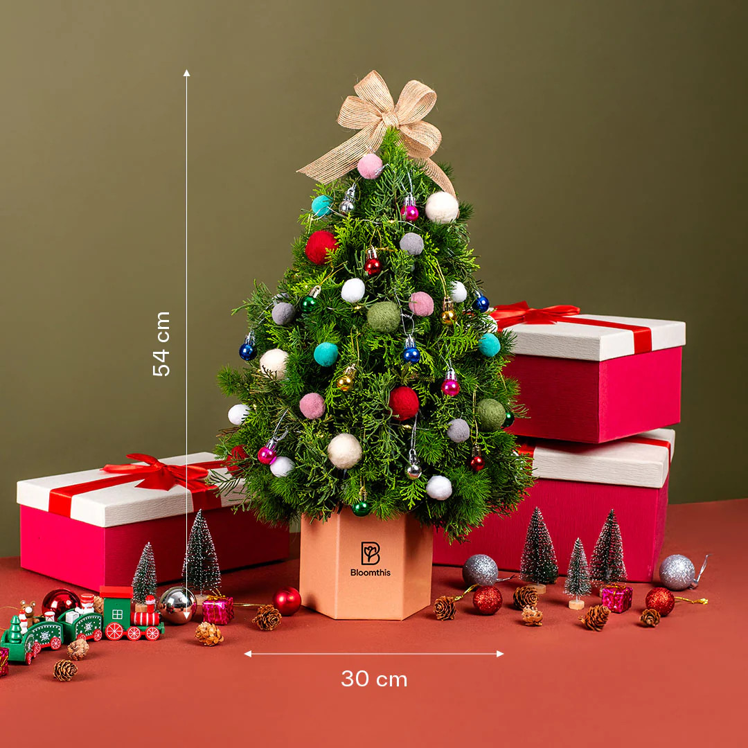 Jazzie Party Christmas Tree Flower Box - Image 6