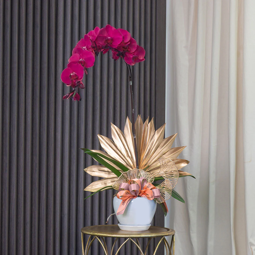 Jodie Purple Phalaenopsis Orchid (1 stalk)