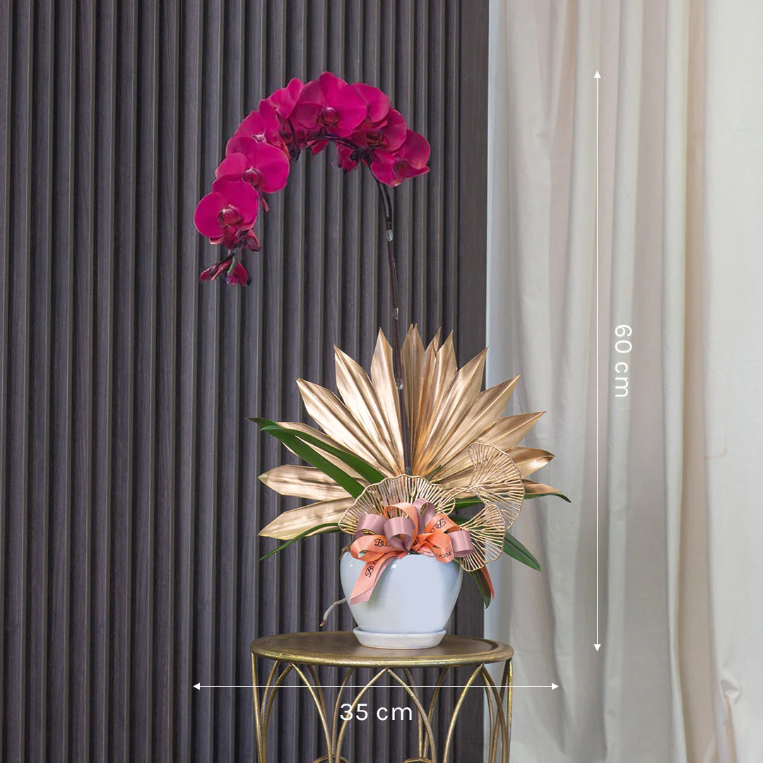 Jodie Purple Phalaenopsis Orchid (1 stalk) - Image 3
