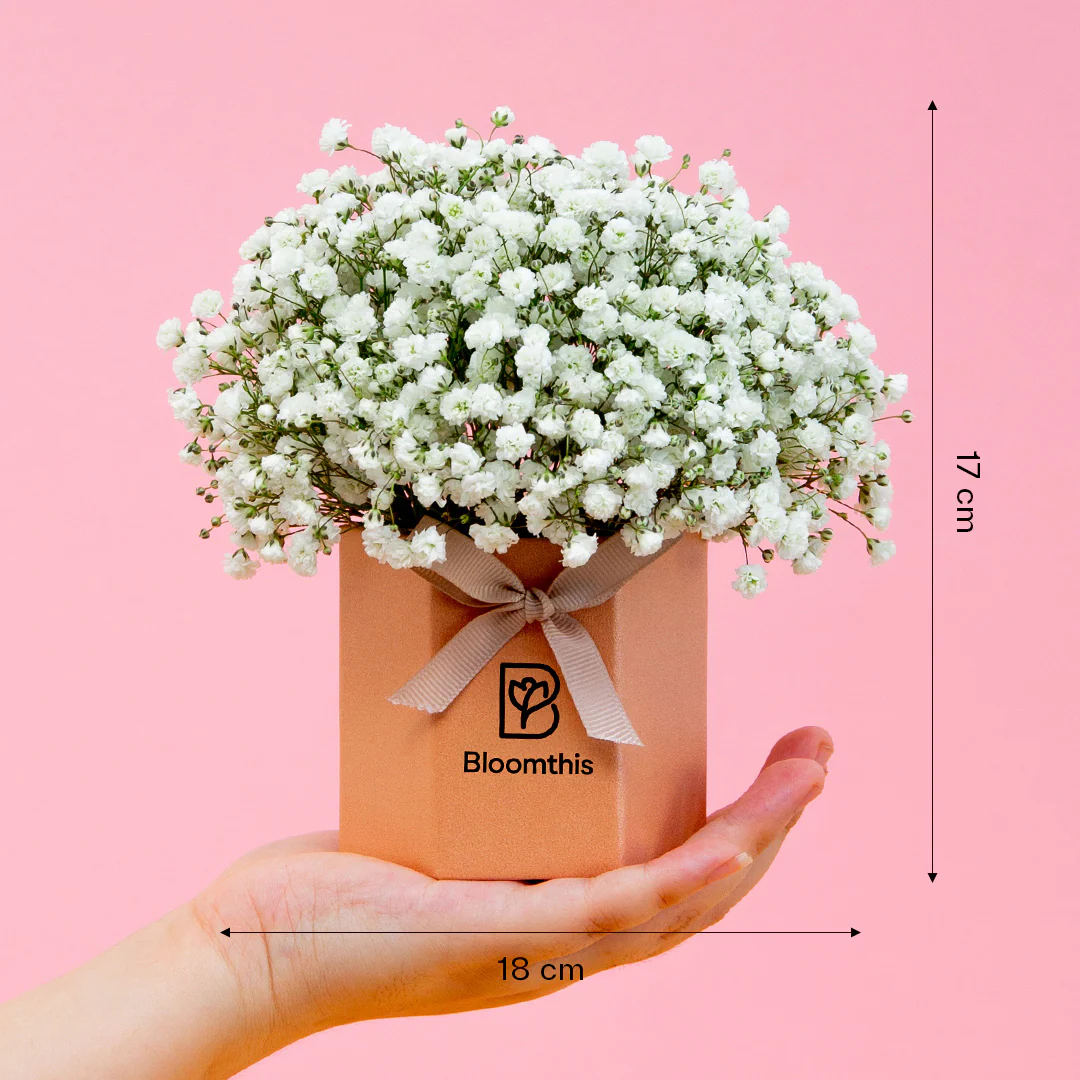 Joyful Baby's Breath Mini Flower Box - Image 5