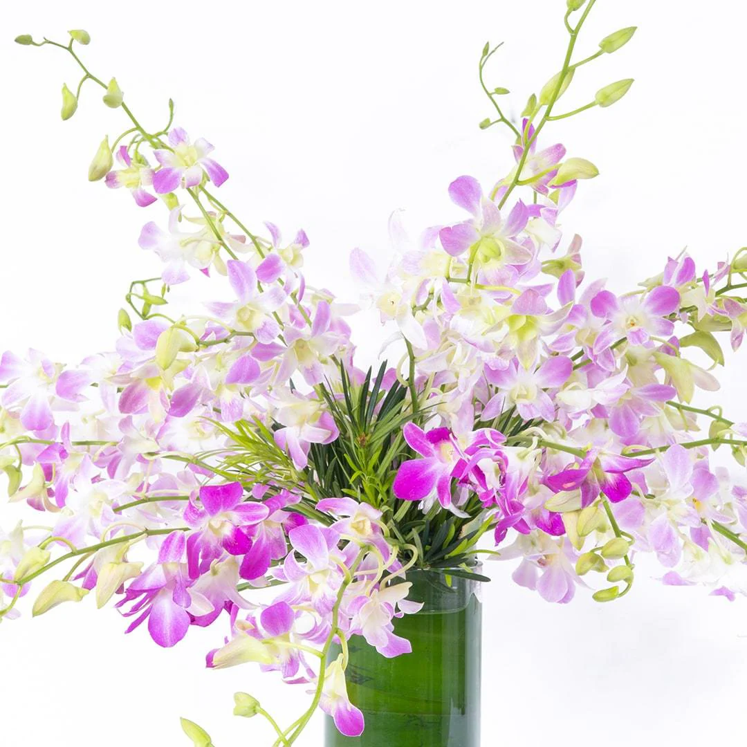 Lola Pink Dendrobium Orchid Vase - Image 3