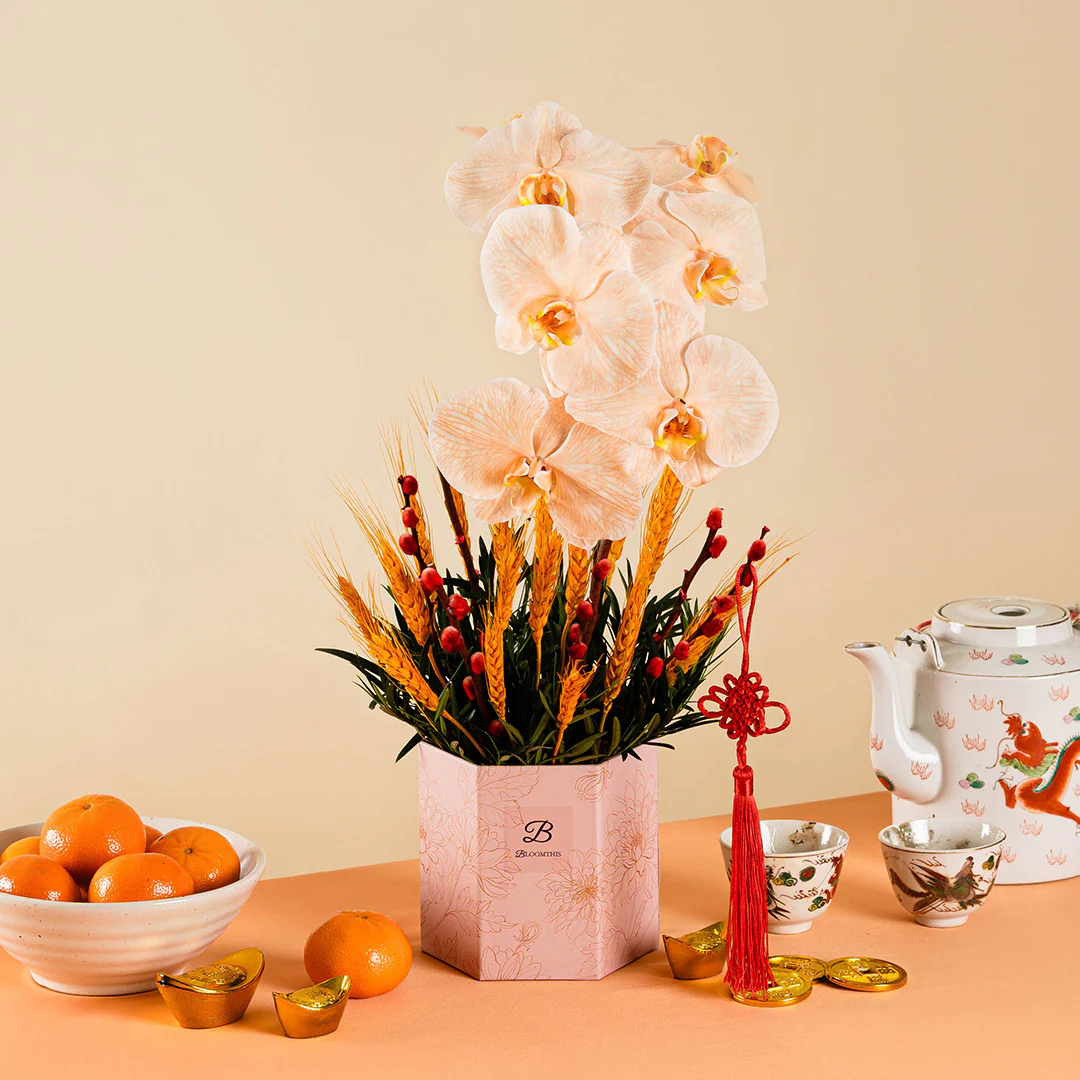 Longevity Apricot Cut Phalaenopsis Chinese New Year Flower Box 2025