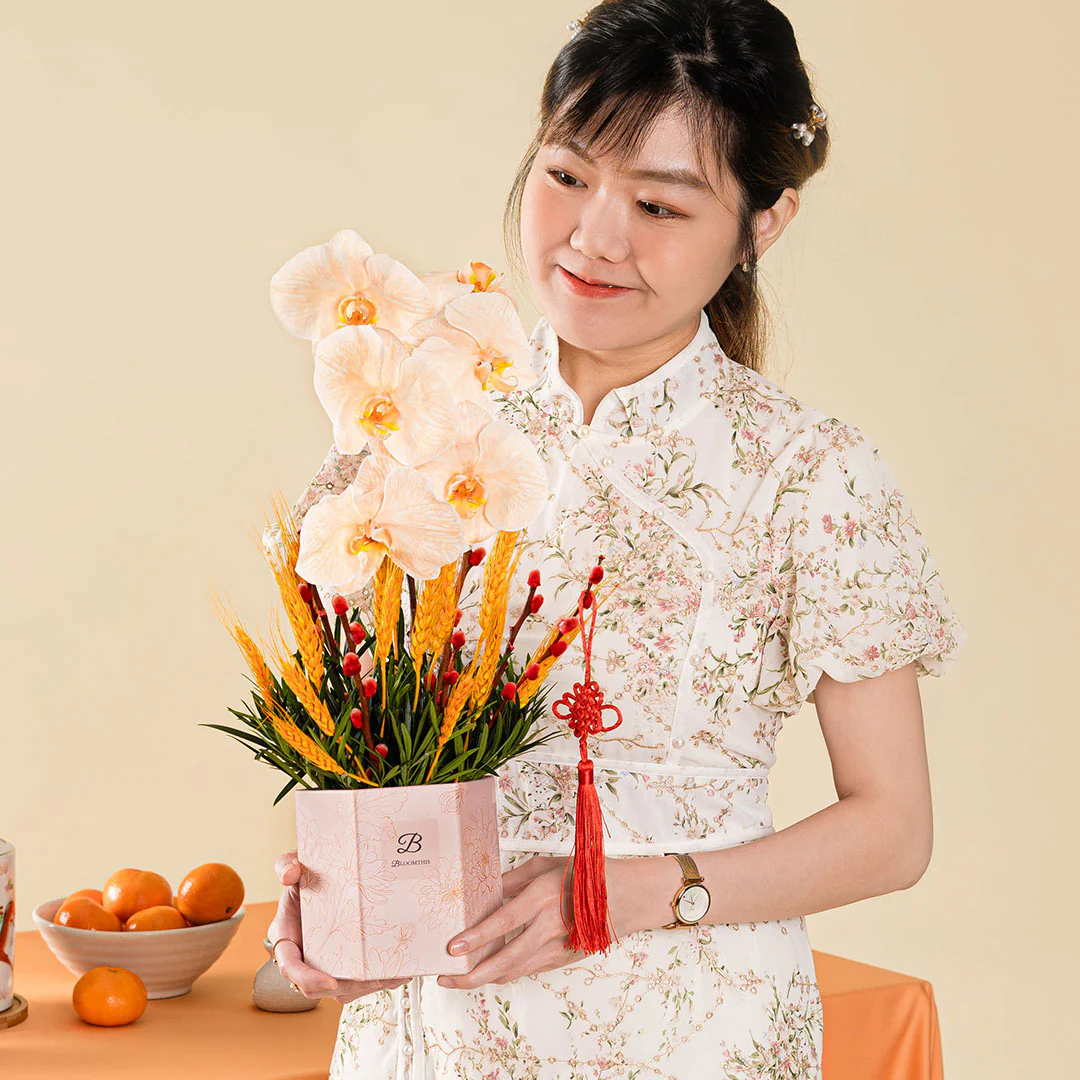 Longevity Apricot Cut Phalaenopsis Chinese New Year Flower Box 2025 - Image 2
