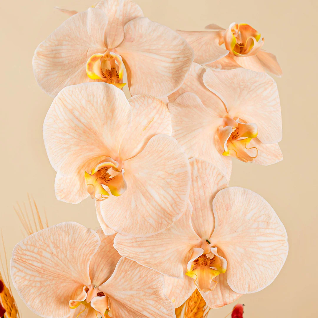 Longevity Apricot Cut Phalaenopsis Chinese New Year Flower Box 2025 - Image 4