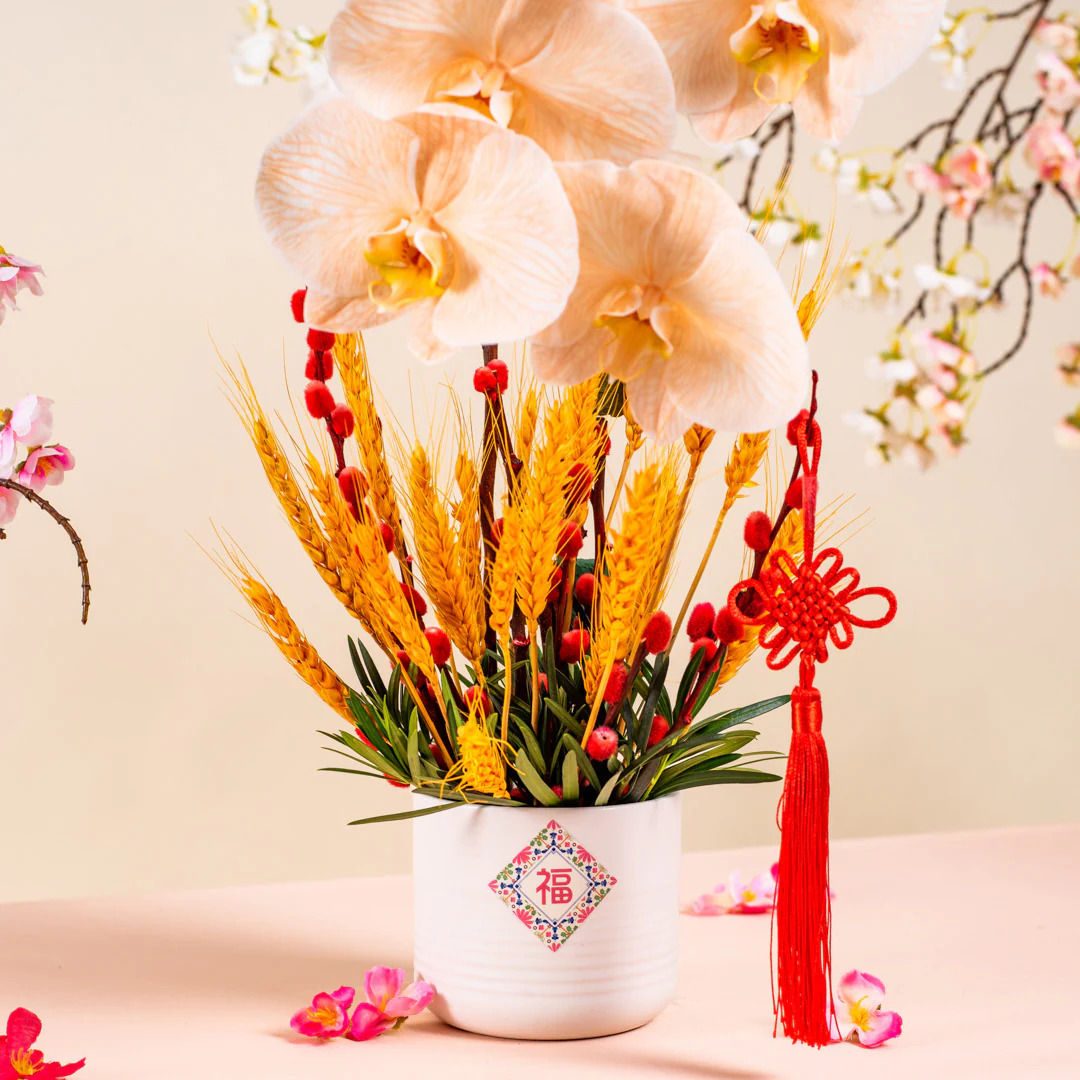 Longevity Apricot Cut Phalaenopsis Chinese New Year Flower Pot - Image 3
