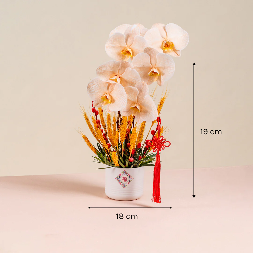 Longevity Apricot Cut Phalaenopsis Chinese New Year Flower Pot - Image 4
