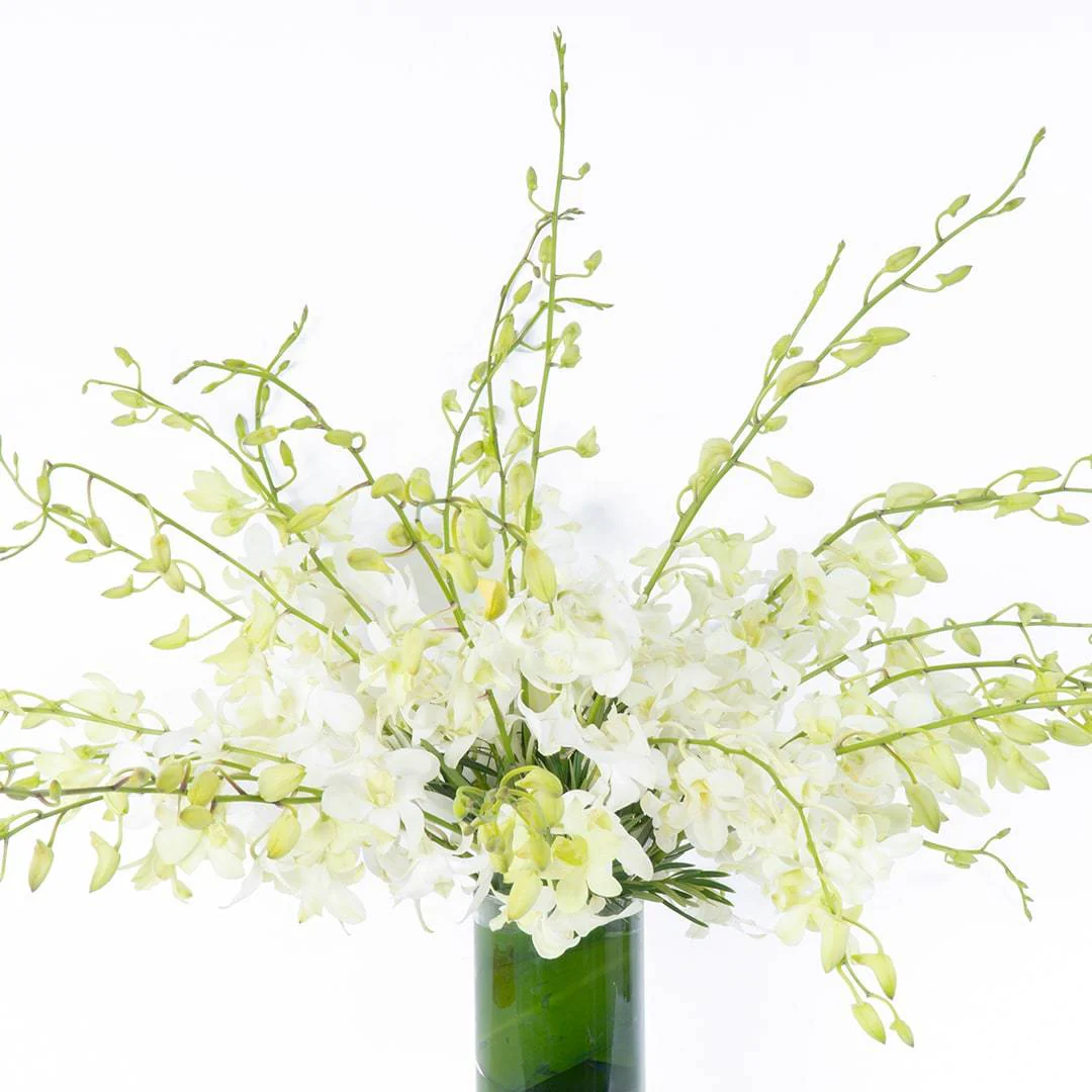 Marisol White Dendrobium Orchid Vase - Image 3