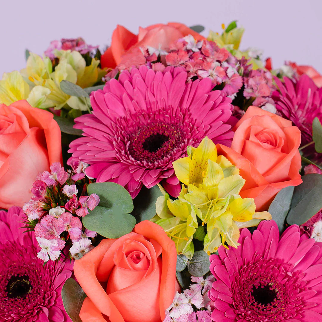 Matilda Gerbera & Rose Flower Box - Image 6
