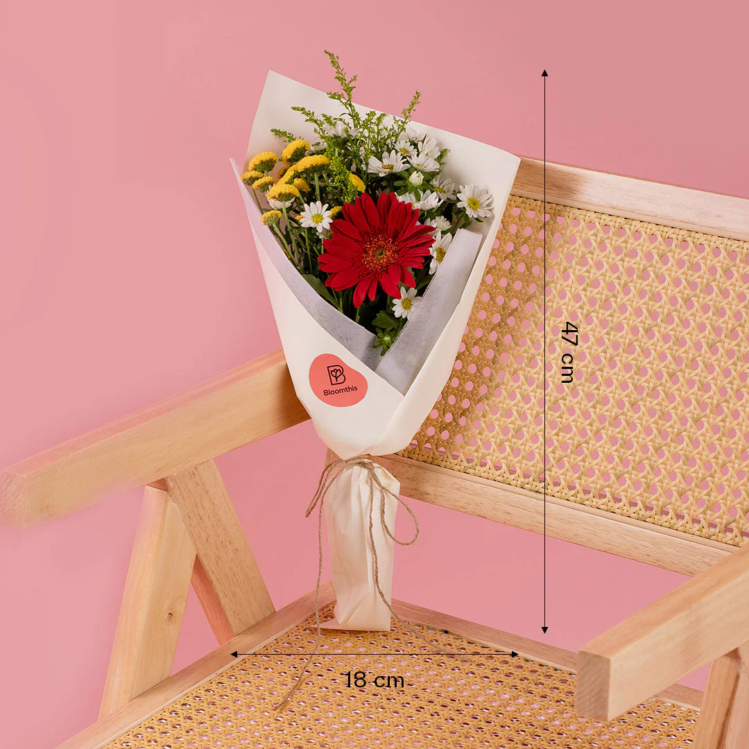 Meadow Red Gerbera Bouquet - Image 4