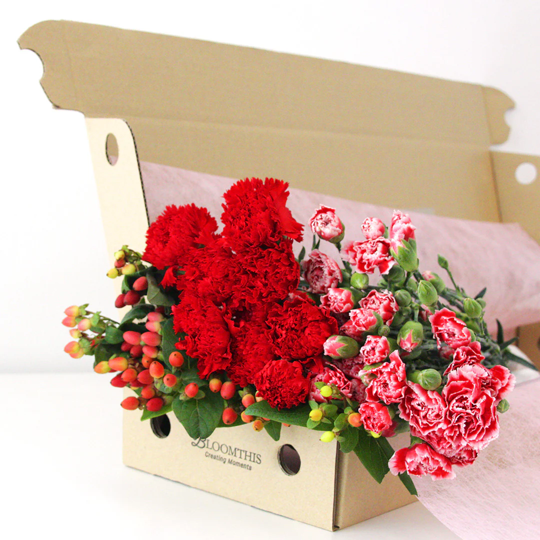 Monthly Subscription - Image 11