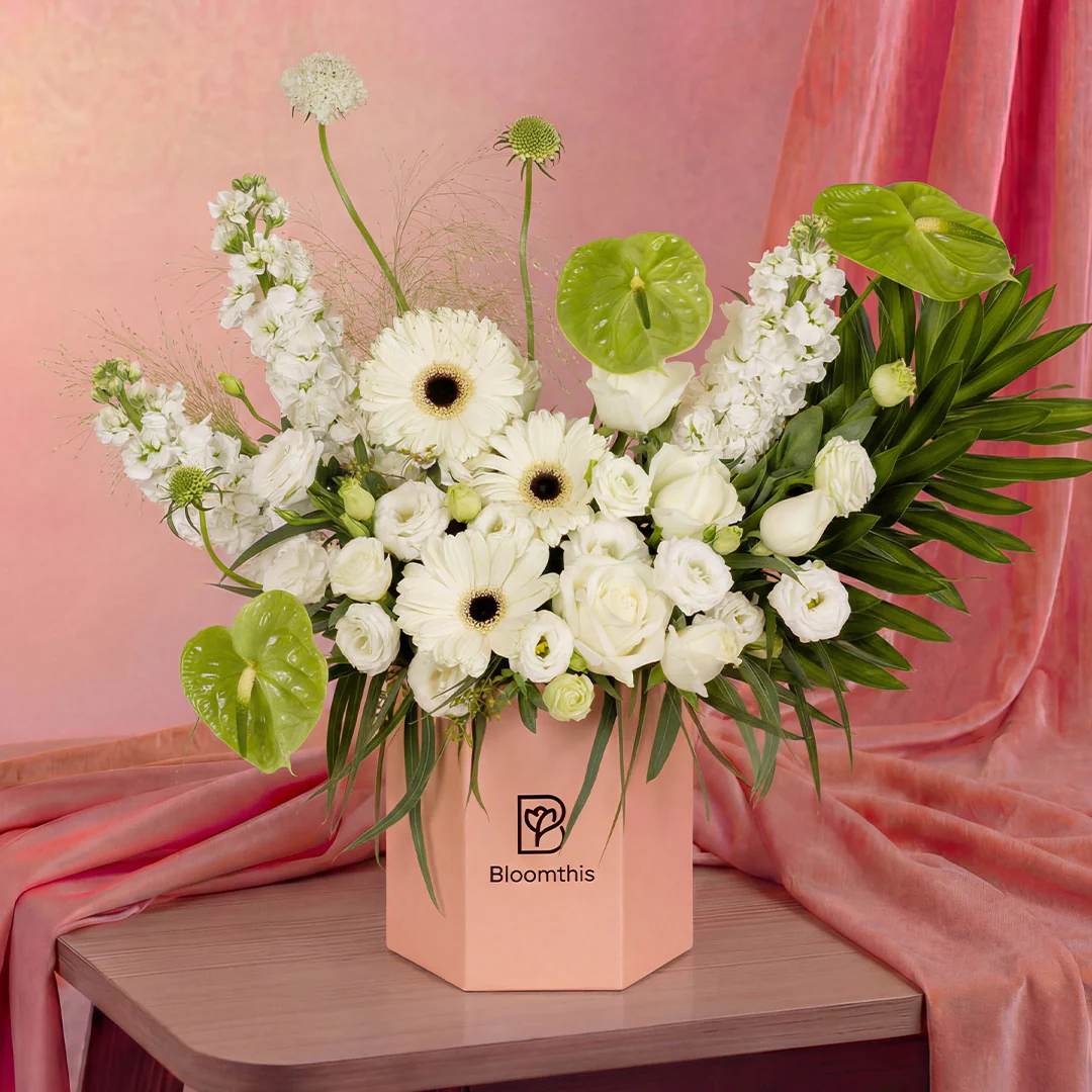 no filter white rose Flower Box