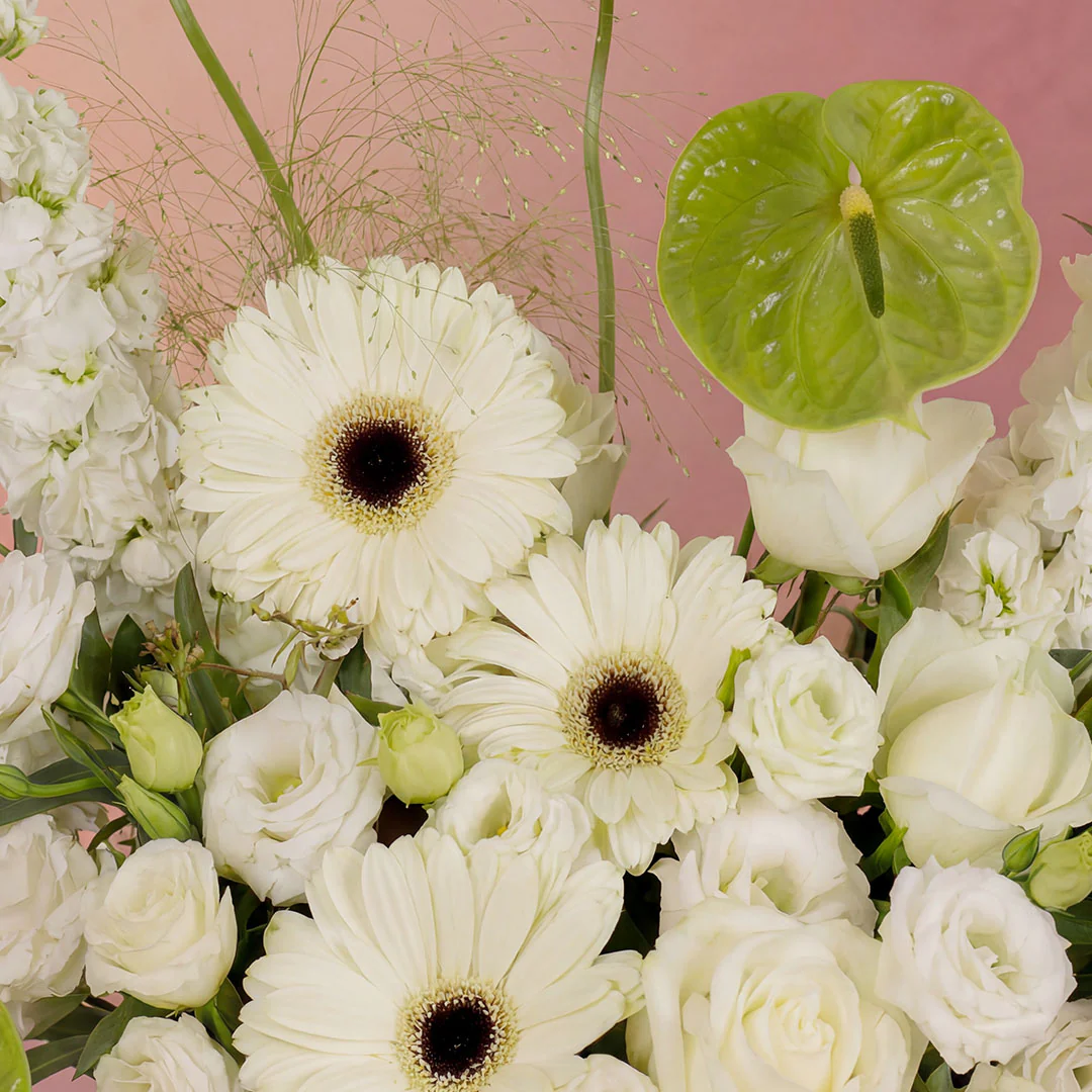no filter white rose Flower Box - Image 3
