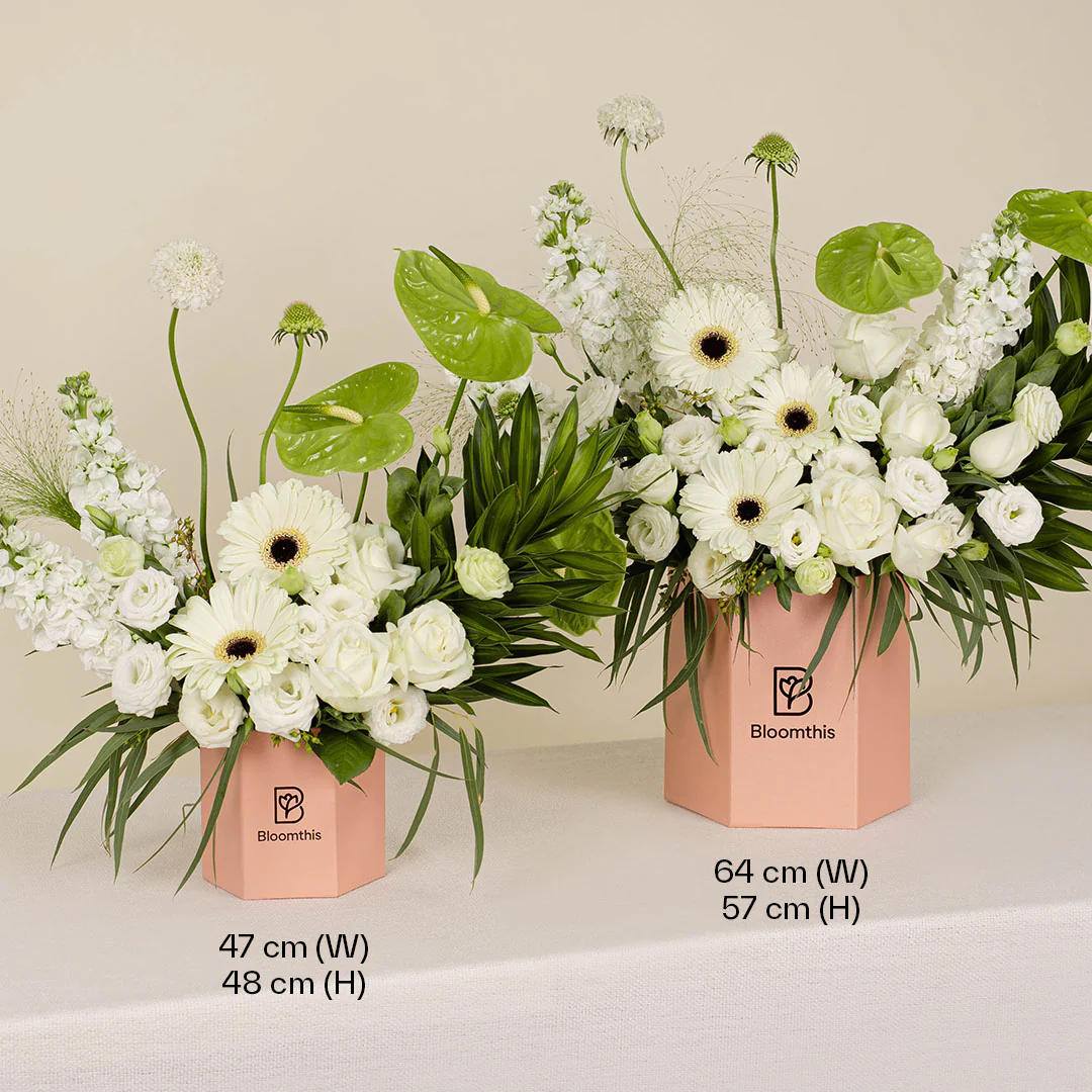 no filter white rose Flower Box - Image 4