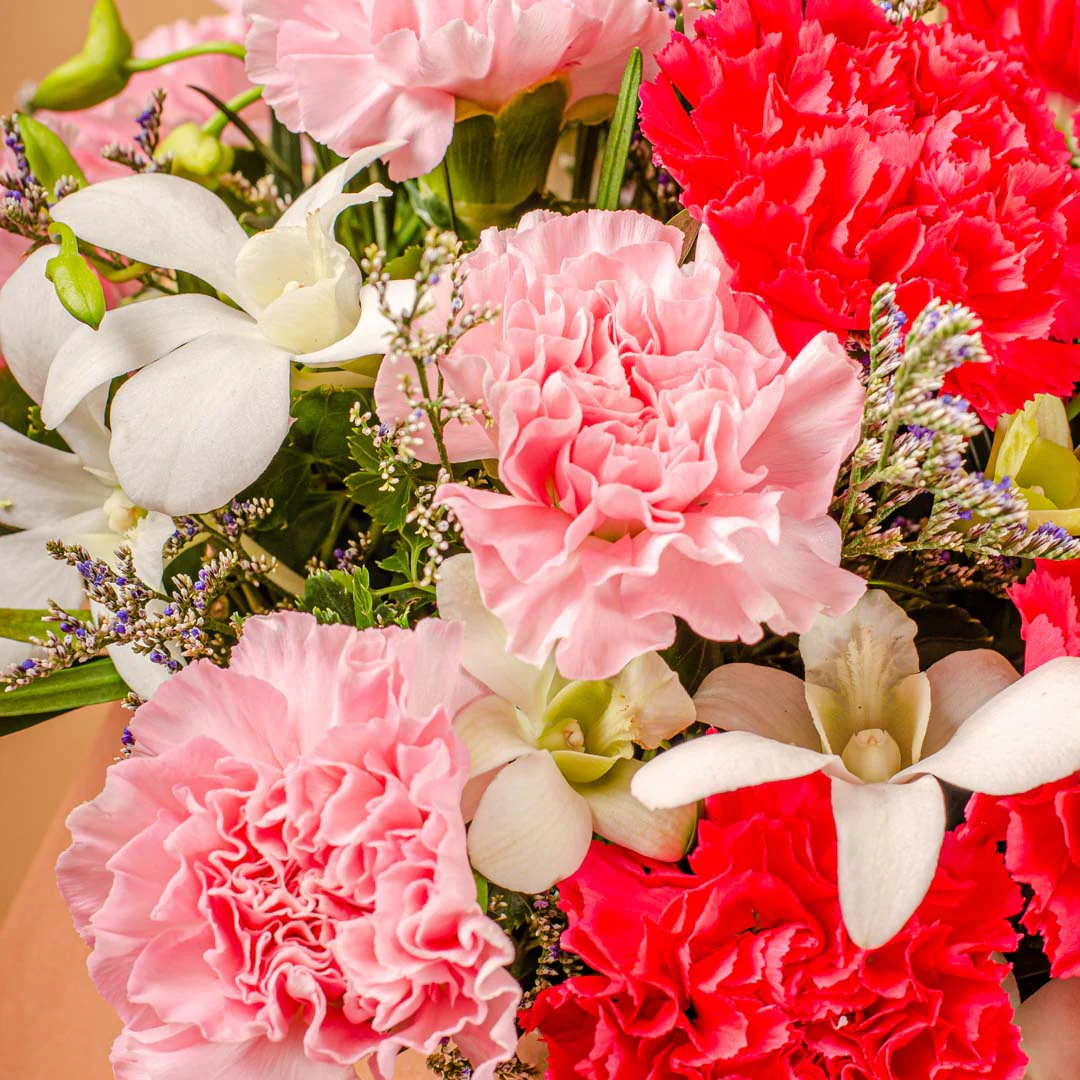 Phoebe Pink Carnation Flower Box - Image 8